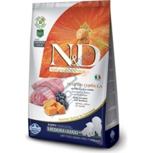 N&D Nd Pumpkin Kuzu Etli Puppy Med.Maxi Tahılsız Köpek Maması - 12 Kg