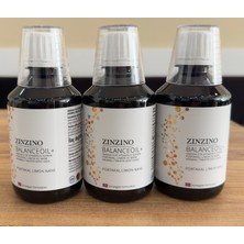 Zinzino Balance Oıl
