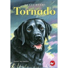 Asa Store Tornado