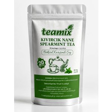Teamix Kıvırcık Nane Çayı Doypack Ambalaj 20 Süzen Poşet