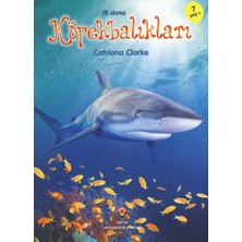 Asa Store Ilk Okuma - Köpekbalıkları