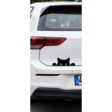 Prime Concept Koç Stüdyo Bagajdan Bakan Kedi Oto Sticker
