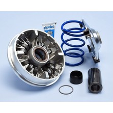 Polini Honda Adv 350 / Forza 250 Ön Varyatör Seti 241.758