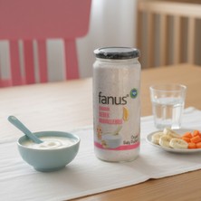 Fanus Organik Bebek Muhallebisi 260G