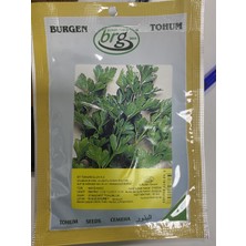 Burgen Tohum Maydonoz Tohumu (10 Gr)
