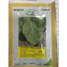 Burgen Tohum Karadeniz Yaprak Lahana (10 Gram)