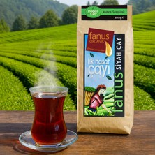 Fanus Ilk Hasat Çayı 650G