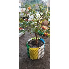 Airgrows Plastik Saksı 30 LİTRE- 2 Lİ SET