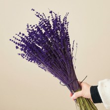 Froyi Kuru Lavanta Buketi Mor
