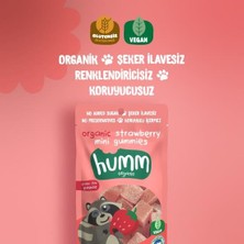 NW NessiWorld Organik Çilekli Glutensiz Vegan Mini Küpler 30 gr
