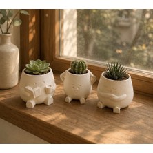 Msv Studio 3d 3’lü Mini Sukulent Saksı Seti | Tatlı Dekoratif Saksılar