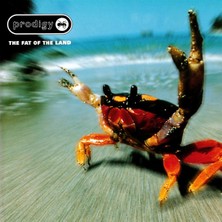 Kadıköy Plak Kulübü The Prodigy – The Fat Of The Land