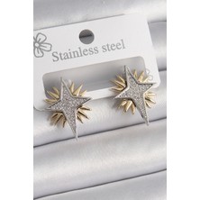 Renas Store Pirinç Gold Gümüş Renk Zirkon Taşlı Kutup Yılıdız Model Kadın Küpe