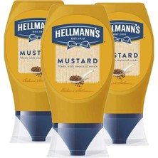 Hellmann's Hardal 250 gr x 3 Adet