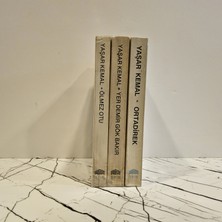 Toros Yayınları Dağın Öte Yüzü / Ortadirek - Yer Demir Gök Bakır - Ölmez Otu (3 Cilt Takım) ( 2. El Kitap )