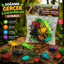Trust Store Oyuncak 12’li Böcek Figür Seti Eğitici Gerçekçi ve Eğlenceli Keşif Oyunu