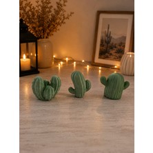 Ceku Home Tasarım 3'lü Dekoratif Kaktüs Obje Set