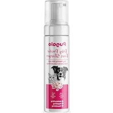 Calperia Kuru Köpük Şampuan - Tarama Kolaylığı Sağlayan Bebek Pudrası Aromalı 250 ml