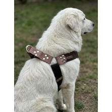 Balkonda Köpek Göğüs Tasması Büyük & Dev Irk Ayarlamalı 4,5 cm Genişlik Palaska Kolon Kordon Siyah & Kahverengi