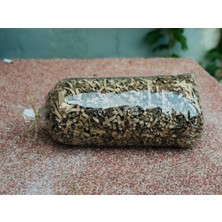 Orbak Kağıtçılık Çikolata Z Zigzag Kırpık Kâğıt – Hediye Kutu Içi Dolgu Süsleme ve Dolgu Malzemesi 25 gr