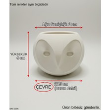 Gri Baykuş Figürlü Mini Dekoratif Saksı 6 cm Masaüstü Ofis Dekoru