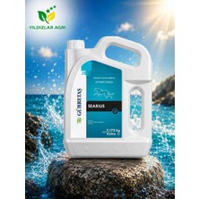 Gübretaş Searius 5lt (Sıvı Deniz Yosunu) - BBG