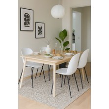 Chairlife Beetle Sandalye (4 Adet)