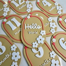 DU&ER Baby Milestones Flowers 13 Parça – Aylık Bebek Fotoğraf Çekim Kartları Doğum Anı Seti