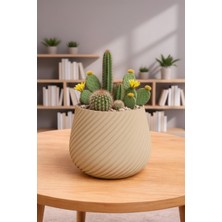 Triora Design Çapraz Çizgili Dekoratif Saksı – Modern Minimal 3D Pla Iç Mekan Saksısı