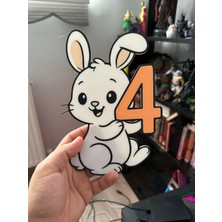 DU&ER 4 Aylık Bebek Bunny Milestone Kart – Rabbit Temalı Aylık Fotoğraf Çekim Hatıra Dekoru