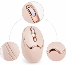 Hsc Bilişim Ergonomik Tasarımlı Kablosuz Mouse Bluetooth ve USB Alıcılı