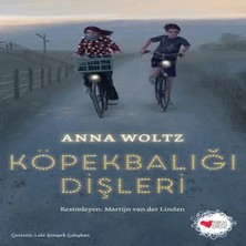 Buğlem Event Köpekbalığı Dişleri