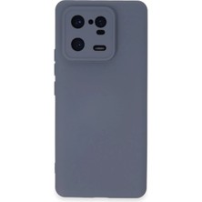 Nemere Mey Ithalat®   Mi 13 Pro Kılıf Nano Içi Kadife Silikon - Gri
