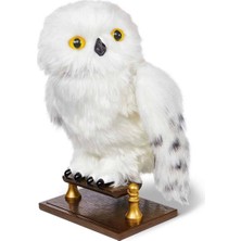 Sinerjim Harry Potter Büyüleyici Hedwig