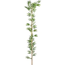 Cihan Çiçekçilik Bambu Çubuk 150 cm
