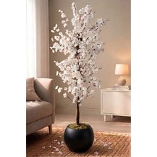 Cihan Çiçekçilik Yapay Beyaz Bahar Dalı Ağacı 180CM- 27X33 cm Küre Saksılı