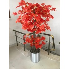 Cihan Çiçekçilik Kızıl Hazan Yaprak Çınar Ağacı 180 cm Metal Saksıda