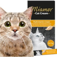 Cream Multivitamin Katkılı Sıvı Kedi Ödülü 6X15GR