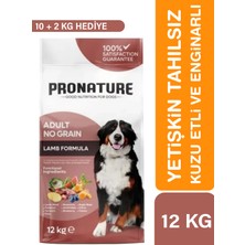 Pronature Tahılsız Yetişkin Kuru Köpek Maması (Perfect Maintenance) - Kuzu Etli Patatesli ve Enginarlı - 10 kg + 2 kg Hediye
