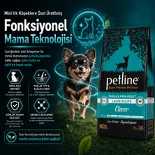 Petline Mini Irk Kuzu Etli Yetişkin Köpek Maması 6kg (2 x 3kg) - Clever