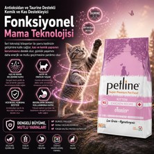 Petline Gelişim Destekleyici Özellikte Tavuklu Yavru Kedi Maması 20KG (2X10KG) -Junior