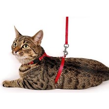 Göğüs Tasma+Uzatma, Kedi, 110 Cm, Kırmızı