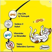 Dreamies Kedi Ödül Maması Ördekli 60 gr x 24 Adet