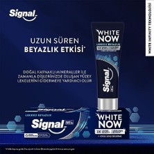 Signal Now Diş Macunu Lekesiz Beyazlık Etkili Leke Giderme 75 ml