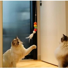Kedi Oltası (Elastik)