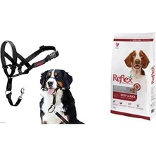 Of Animals Halti Ağızlıklı Tasma, Boyut 4 Siyah + Reflex Plus Adult Dog Energy 28/18 Beef, 15 kg