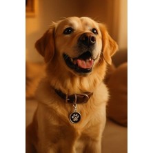 HBMB Store Kedi Köpek Isimlik Metal Pet Kimlik Rozeti Isim Telefon Yazılabilir Dayanıklı Suya Dayanıklı Tasmaya Uygun Evcil Hayvan Künyesi (Siyah Pati)
