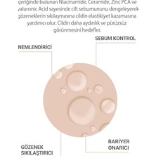 HBMB Store Niacinamide%10 - Ceramide%5 Serum 30 ml