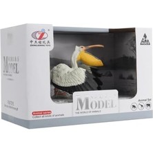 HBMB Store Kutulu Model Figür Hayvan