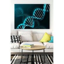 HBMB Store (PSTER15752) Dna Bilimsel Kanvas Tablo 50 x 70
